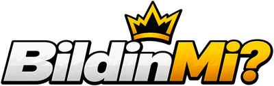 BildinMi?